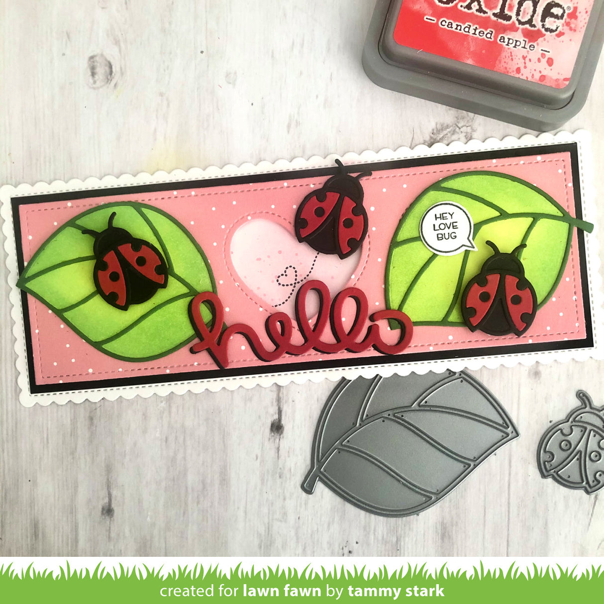 ladybug and leaf