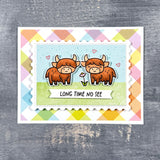 highland cows!