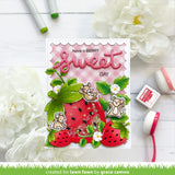 stitched strawberry frame