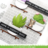 plant-a-succulent