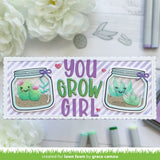 plant-a-succulent
