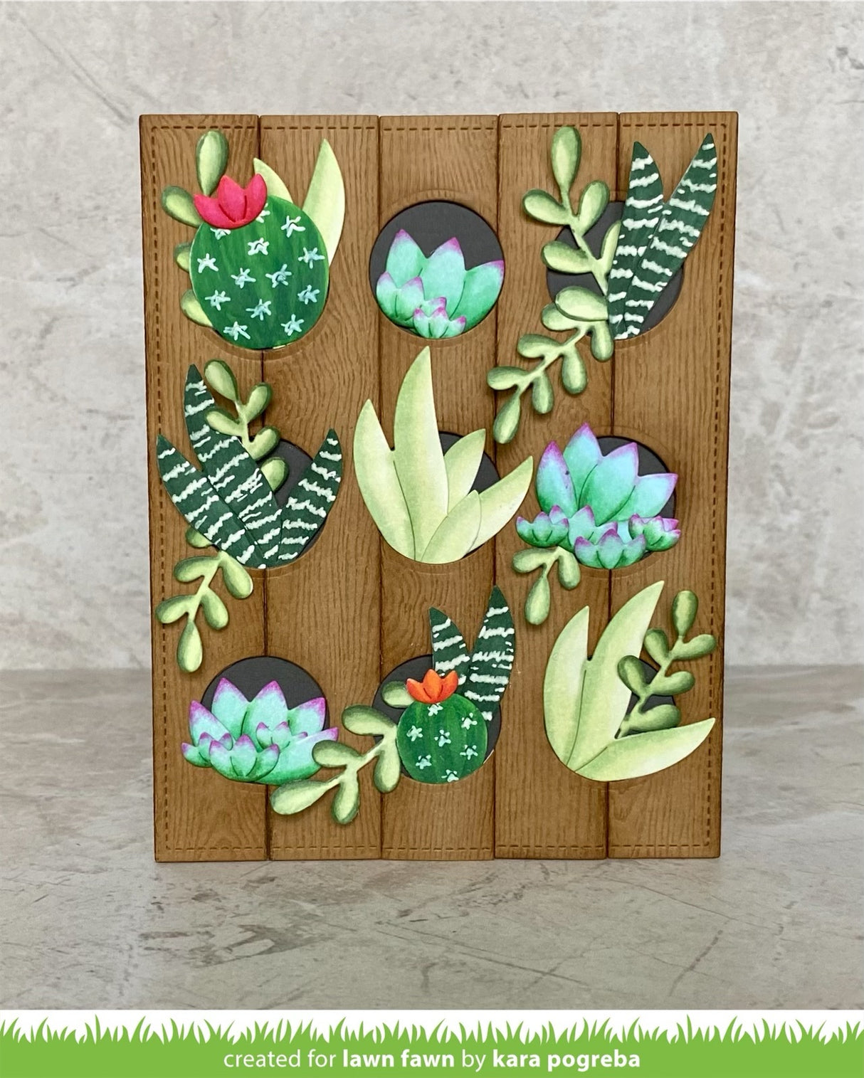 plant-a-succulent