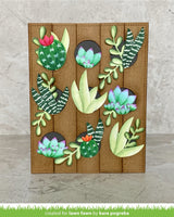 plant-a-succulent