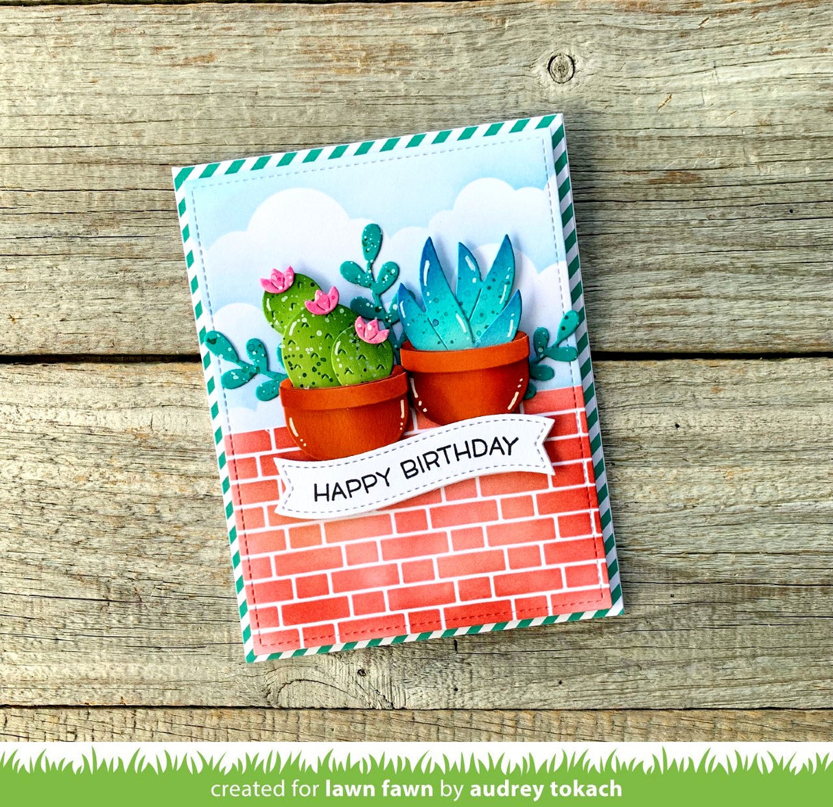 plant-a-succulent