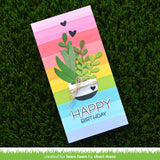 plant-a-succulent