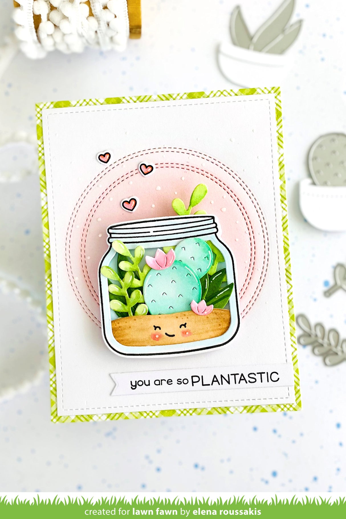plant-a-succulent