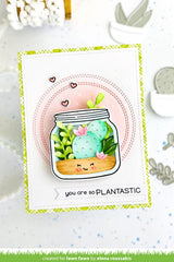 plant-a-succulent
