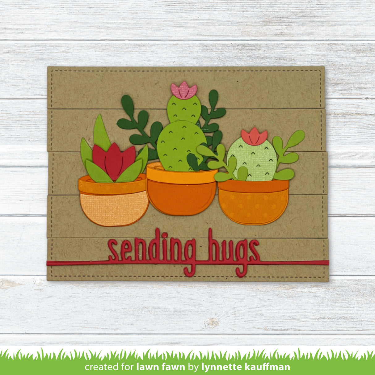plant-a-succulent