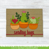 plant-a-succulent