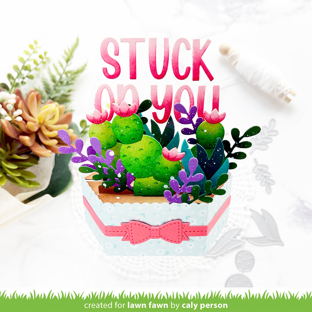 plant-a-succulent