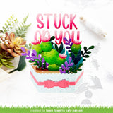 plant-a-succulent