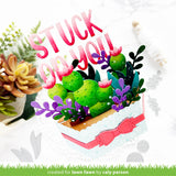 plant-a-succulent