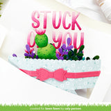 plant-a-succulent