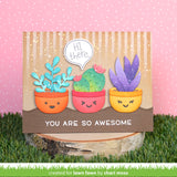 plant-a-succulent