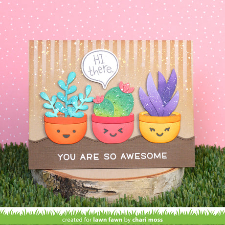 plant-a-succulent