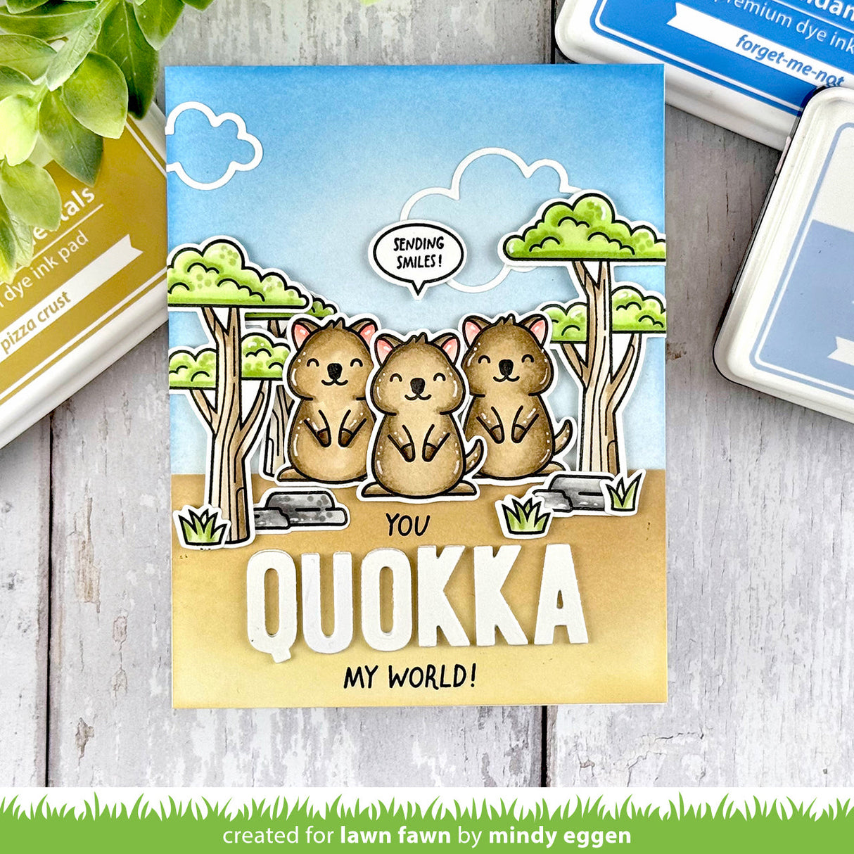 quokka my world