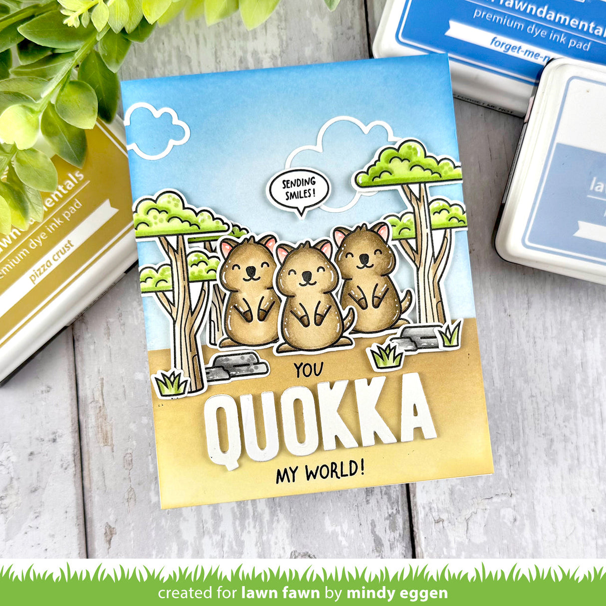 quokka my world