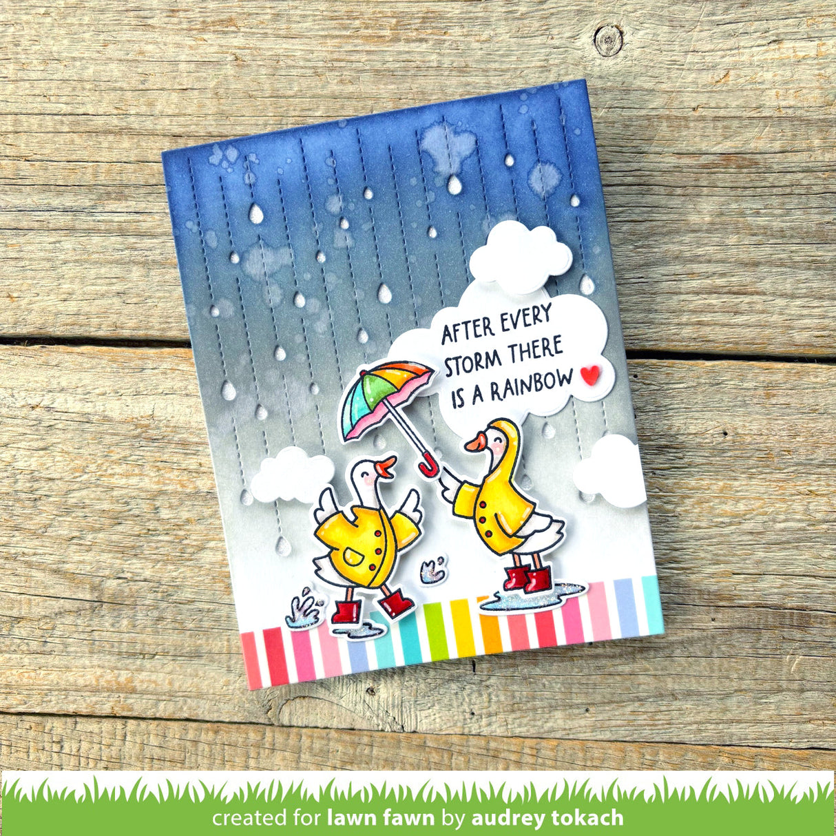 silly goose, rain or shine!