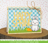 springtime bunny
