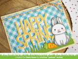 springtime bunny