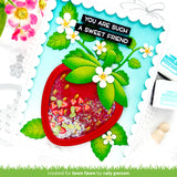stitched strawberry frame