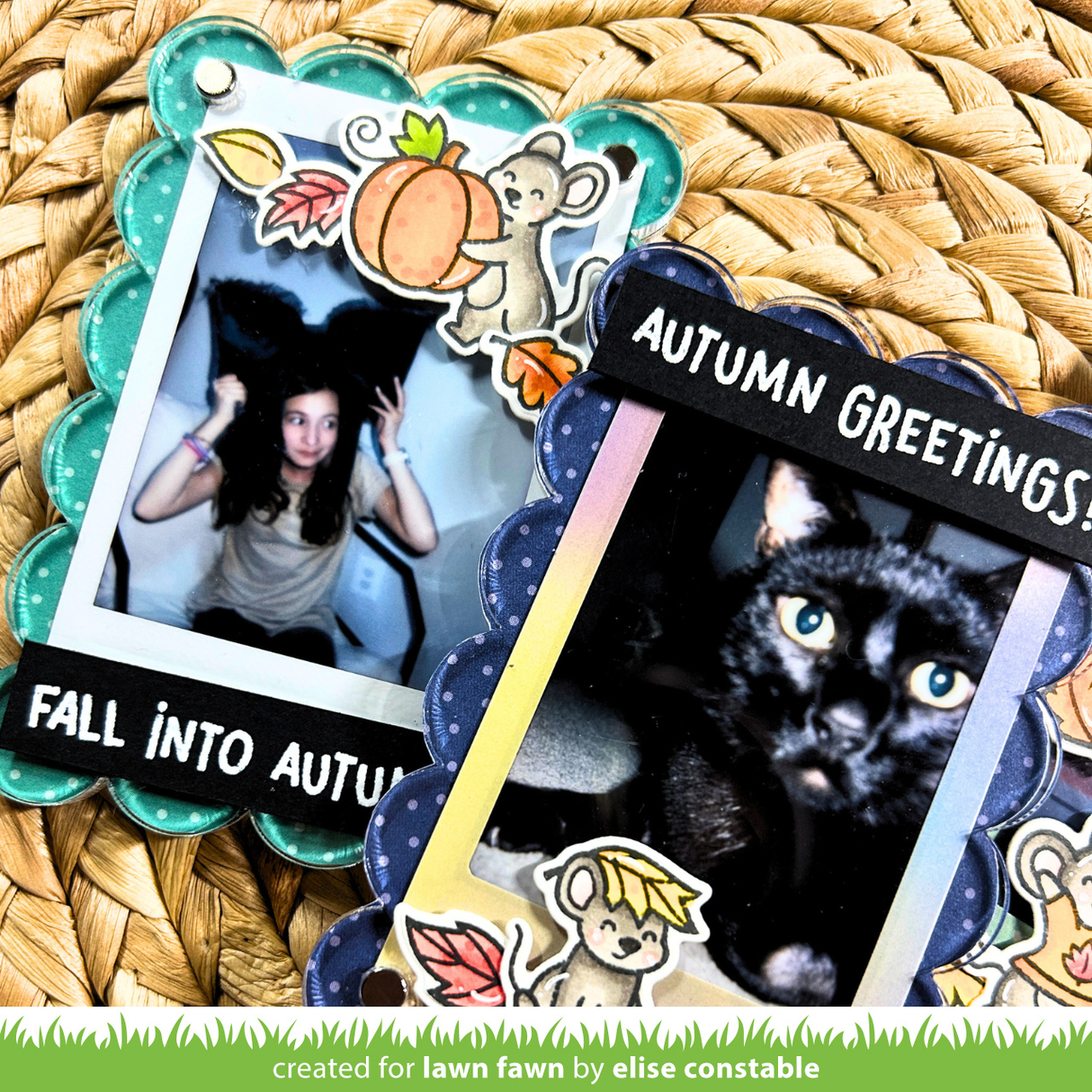 fall mice