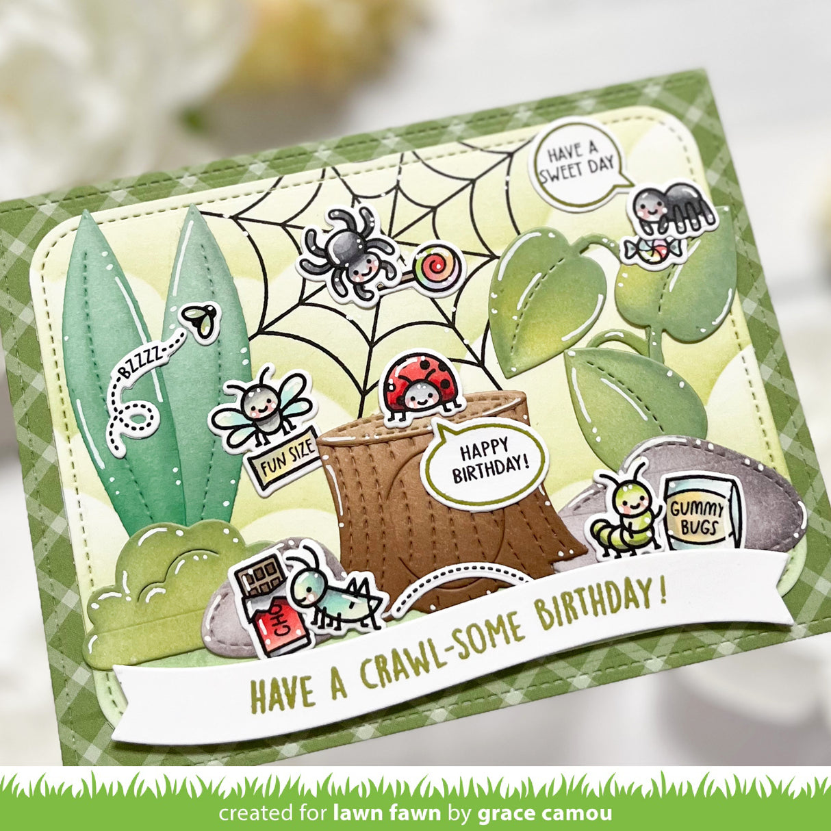 sweet spiders