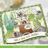 sweet spiders