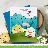 tiny gift box chick and duck add-on