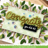 scripty congrats outline add-on