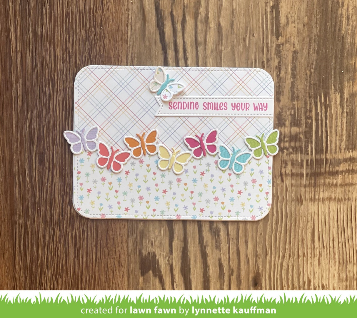 butterfly border