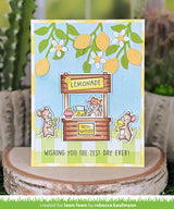 make lemonade!