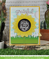 magic iris sunflower add-on