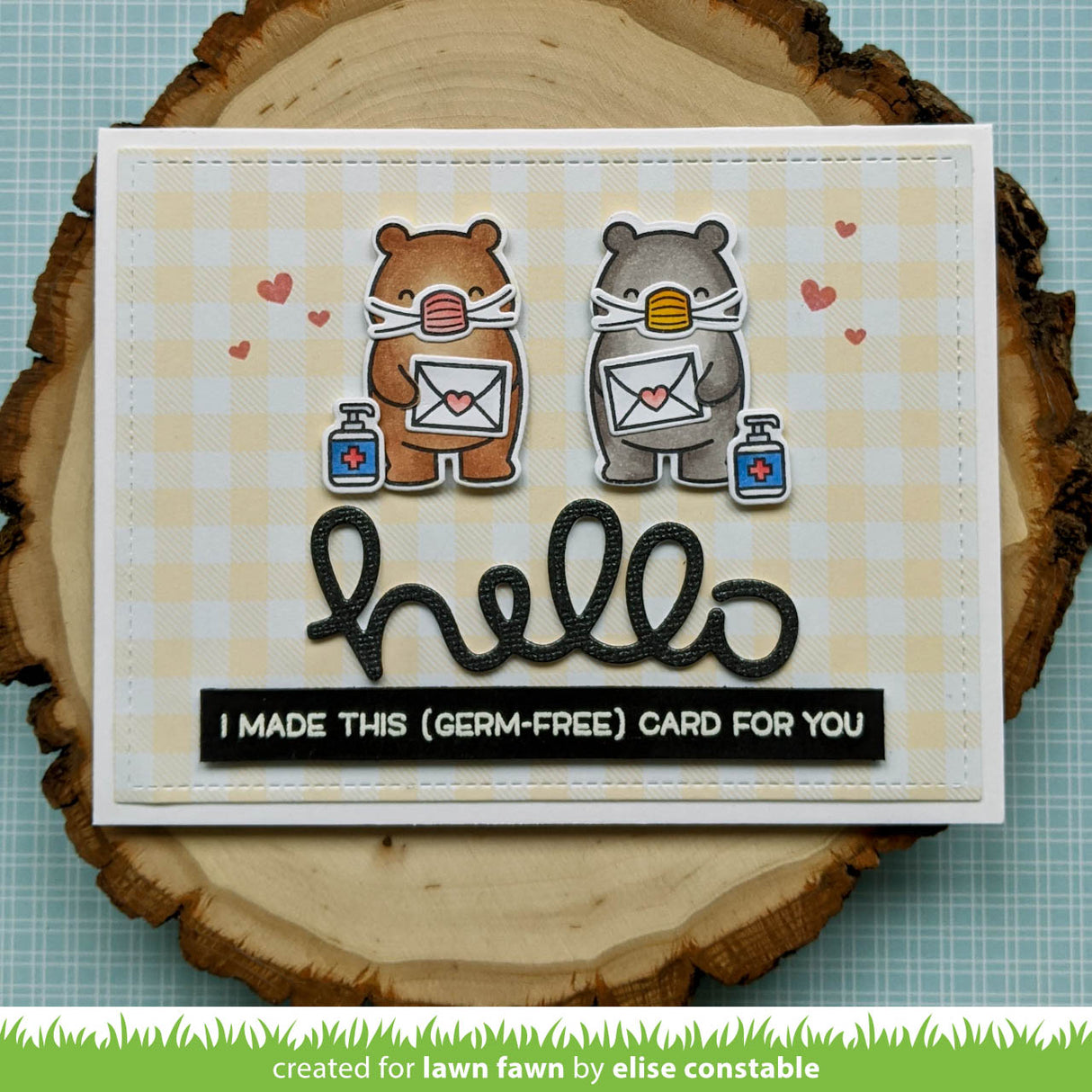 _germ-free bear_