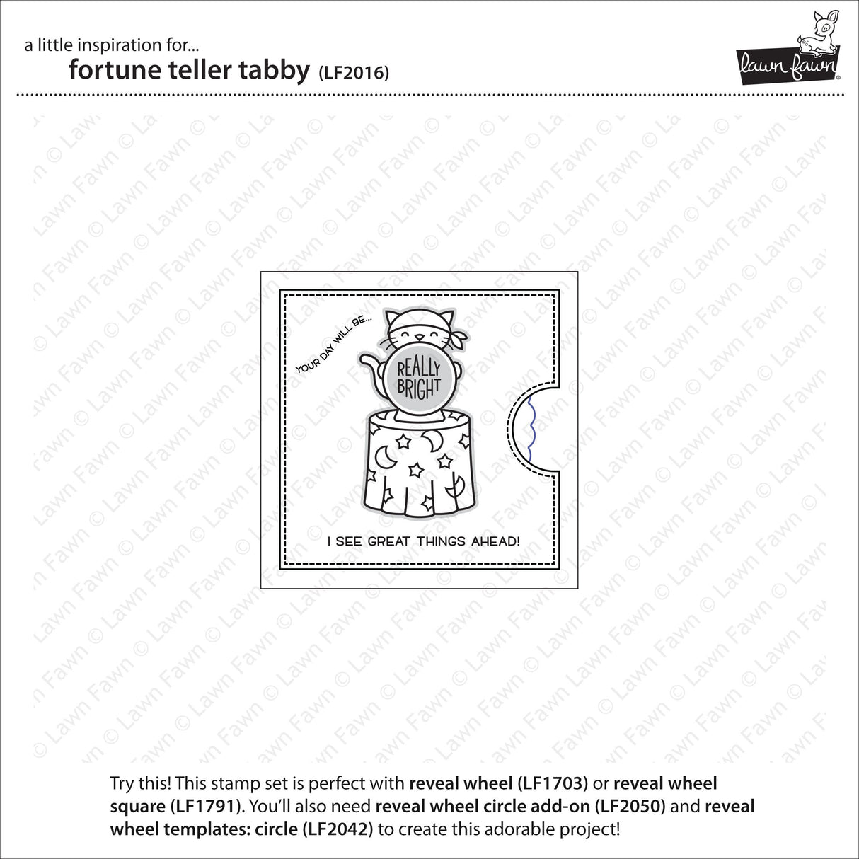 fortune teller tabby