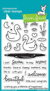 swan soirée