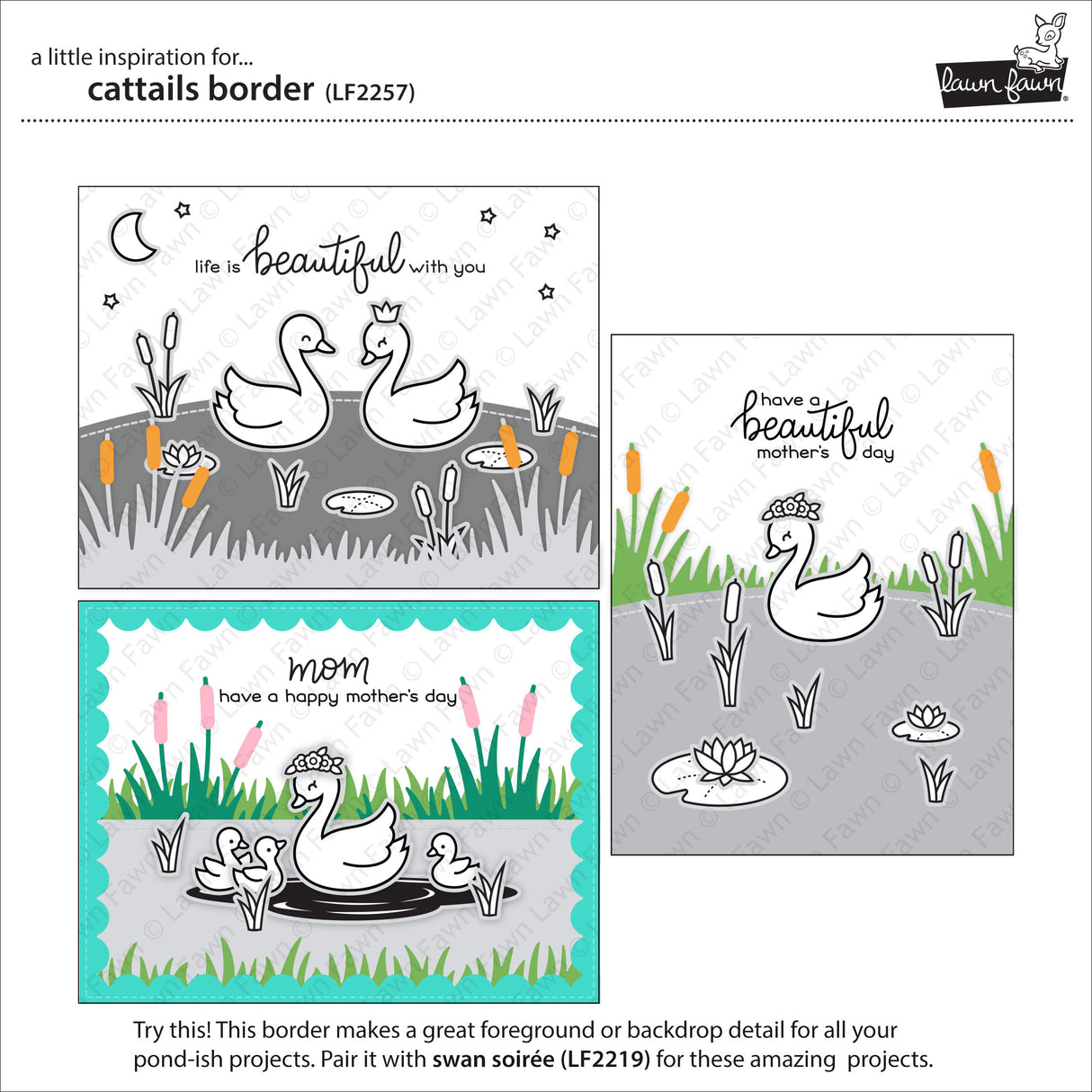 cattails border