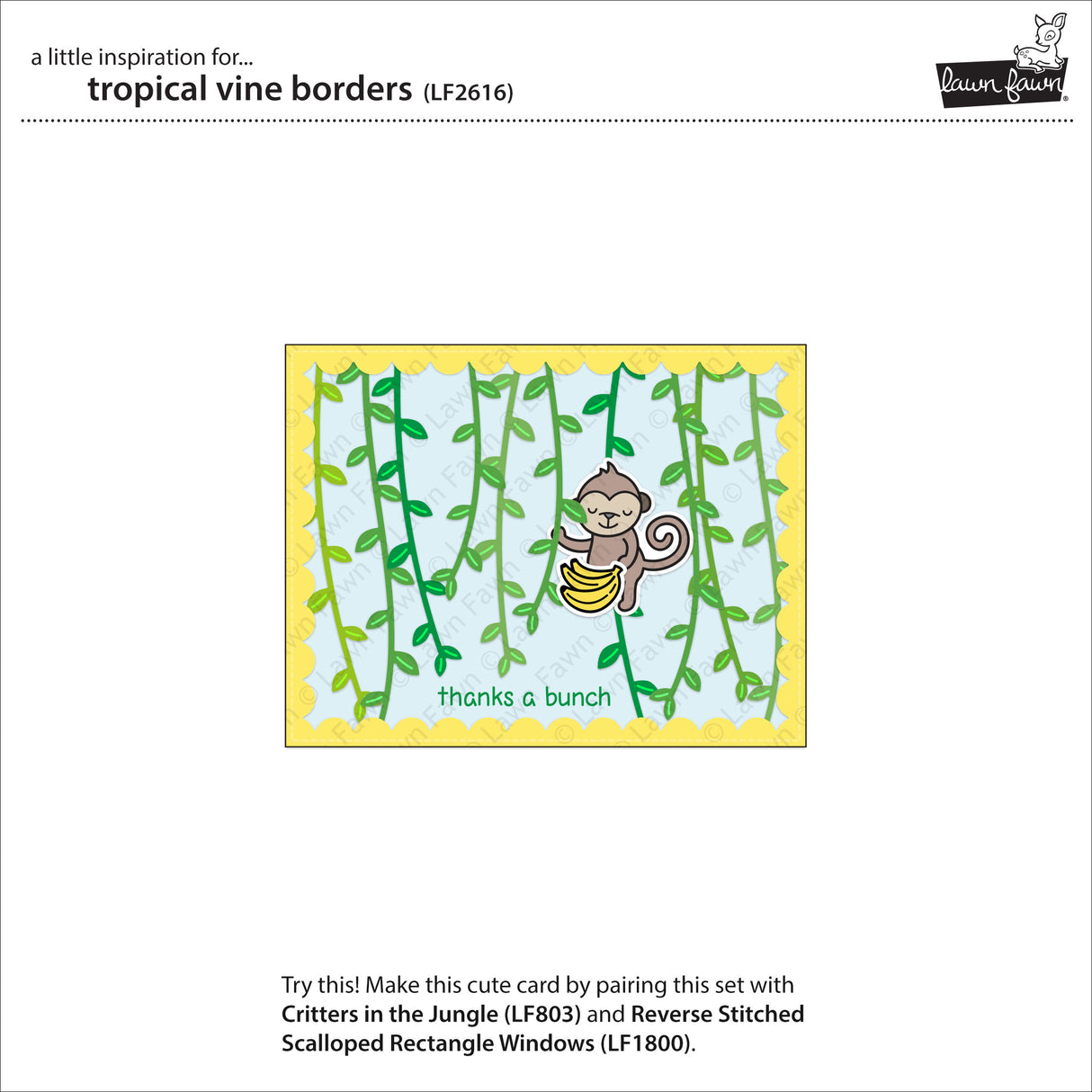 _tropical vine borders_