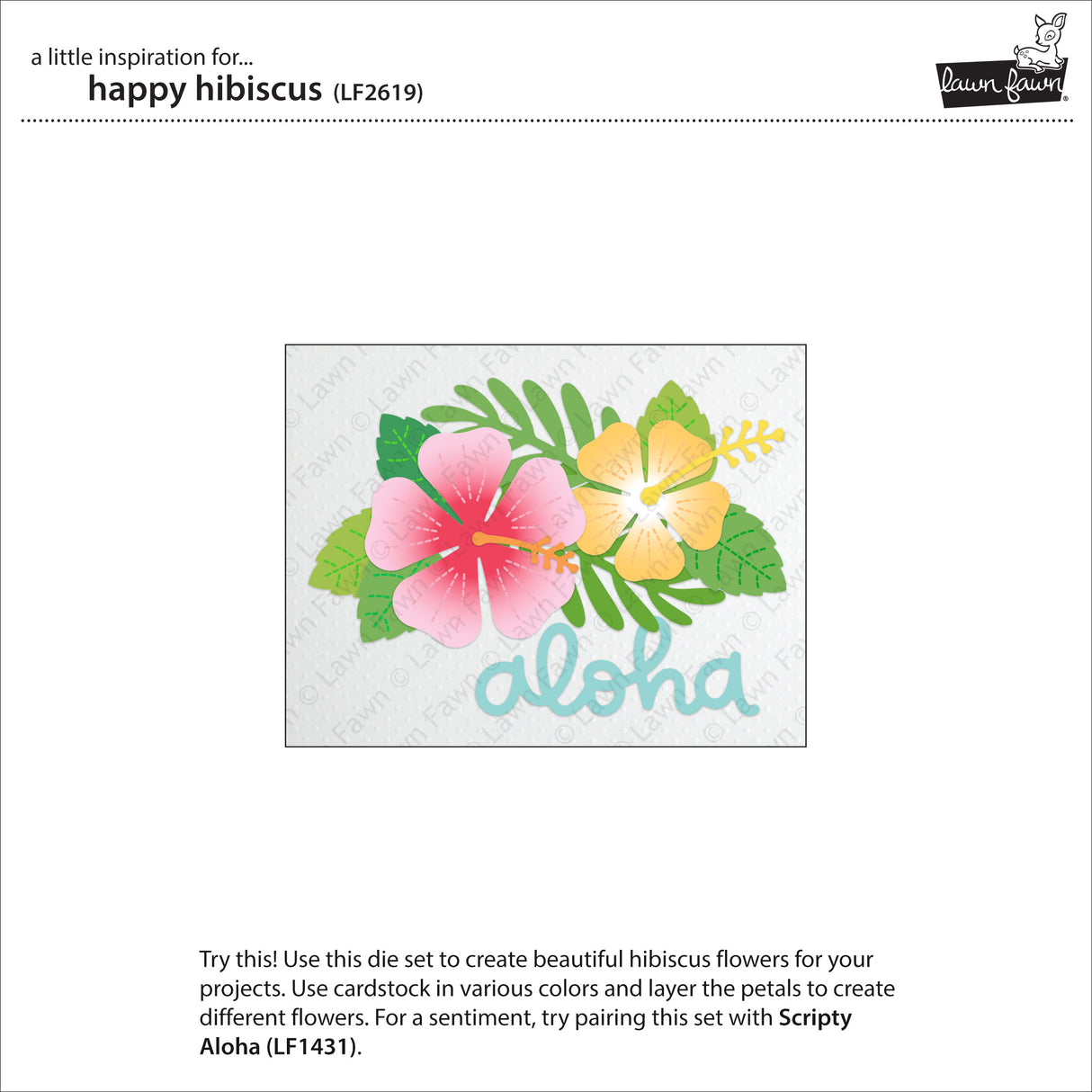 happy hibiscus