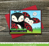 tiny gift box ladybug add-on