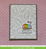 one in a chameleon
