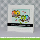one in a chameleon