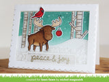 _snowy backdrops_