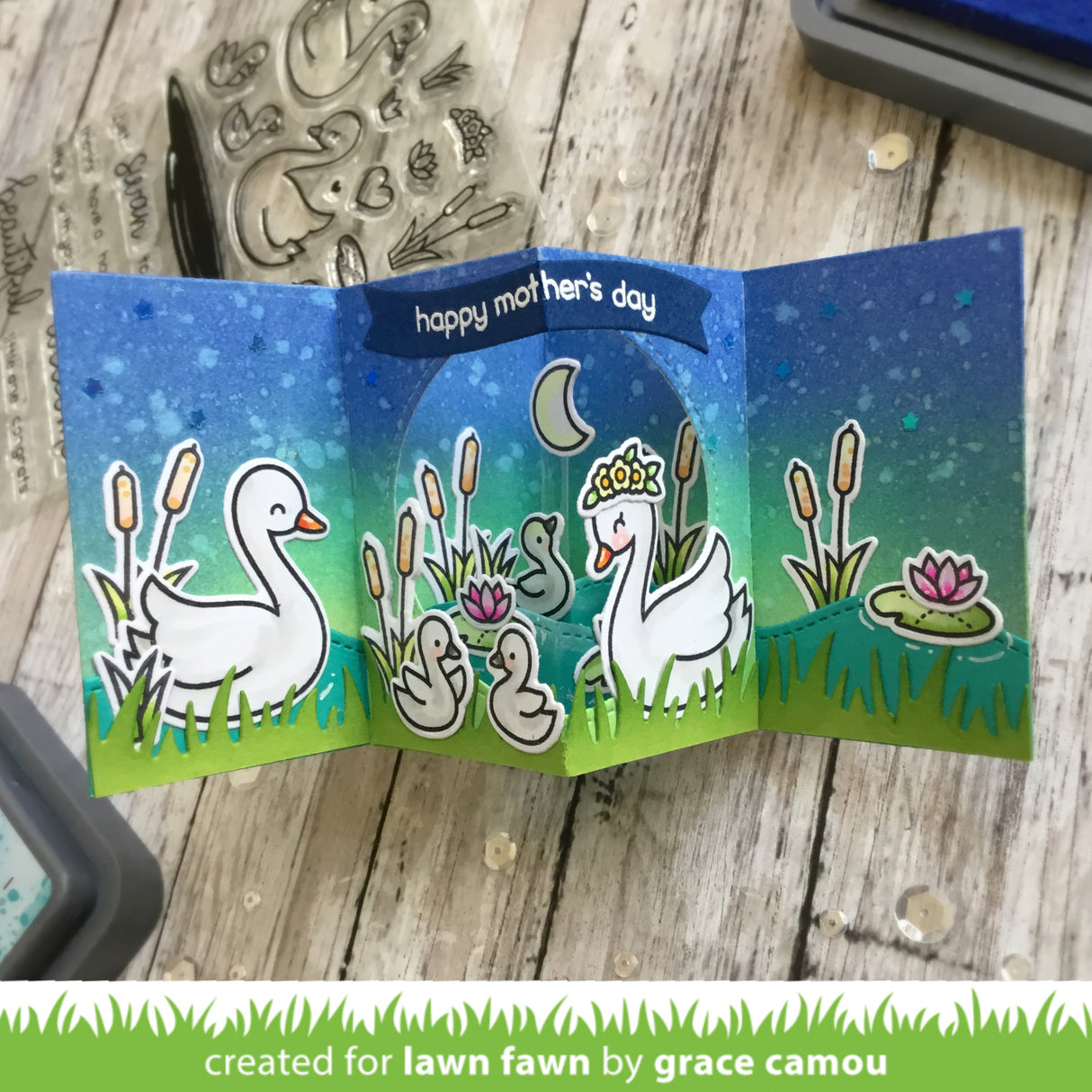 swan soirée