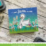 swan soirée