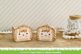 tiny gift box hedgehog add-on