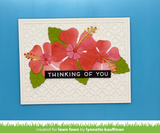 happy hibiscus